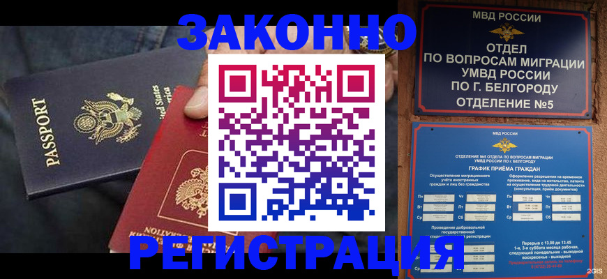 прописка законно в Нововоронеже